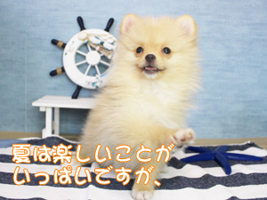 ８月になりました！